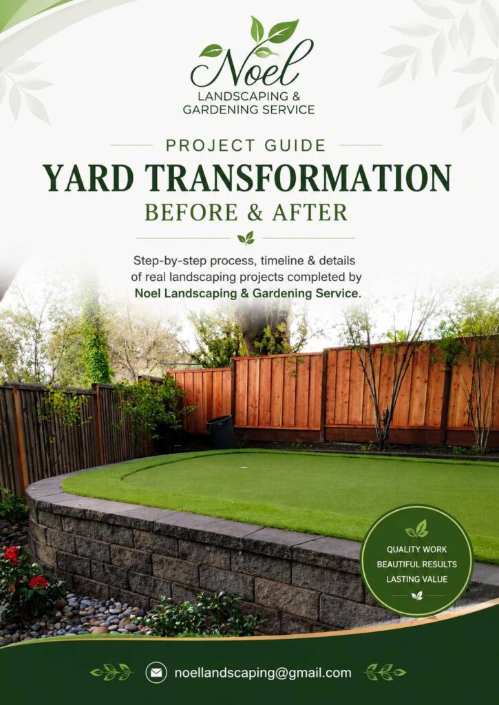 yard transformation before-after